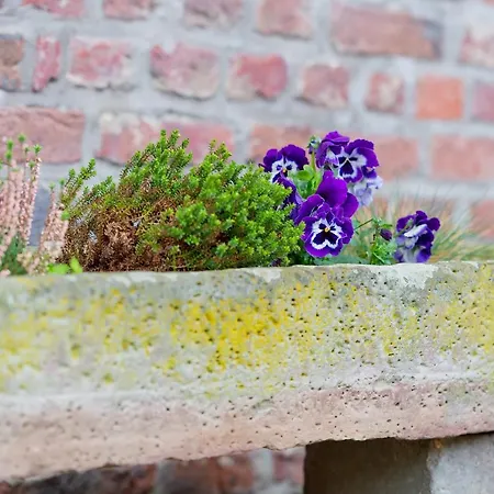 Hotel Burg Obbendorf