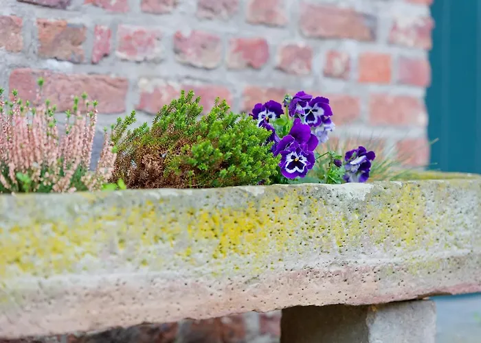 Hotel Burg Obbendorf